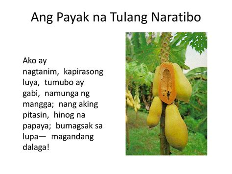 Hinog na Magandang Dalaga.